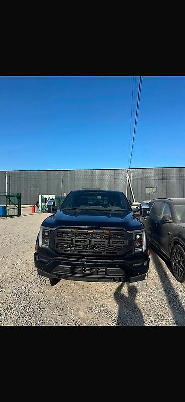 bis vip: Ford F-150: 2022 г., 3.5 л, Гибрид, Пикап — 3