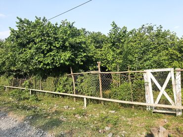 bag evinde qalmaq: 43 sot, Biznes üçün, Mülkiyyətçi, Kupça (Çıxarış)