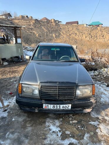 Mercedes-Benz: Mercedes-Benz W124: 1992 г., 3 л, Механика, Дизель, Седан