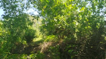 Torpaq sahələrinin satışı: Tikinti, Mülkiyyətçi, Kupça (Çıxarış) — 6