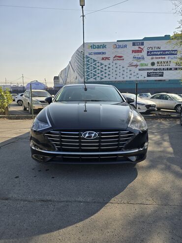 елентра хундай: Hyundai Sonata: 2019 г., 2 л, Типтроник, Газ, Седан