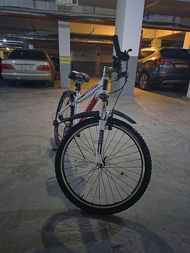 Dağ velosipedləri: Forward Quadro 1.0 velosipedi - Rəng: ağ/qırmızı-qara qrafikalar - — 4