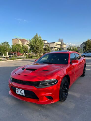 юто мотор: Dodge Charger: 2019 г., 3.6 л, Автомат, Бензин, Седан