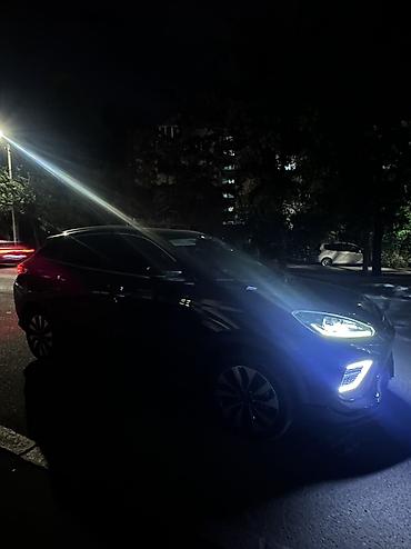neta x: Weltmeister EX5, 2020 г. — 6
