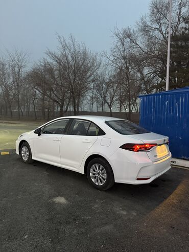 Toyota: Toyota Corolla: 2025 г., 1.2 л, Автомат, Бензин, Седан — 4