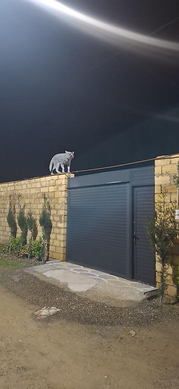 Fiqurlar: Fiqur — 7