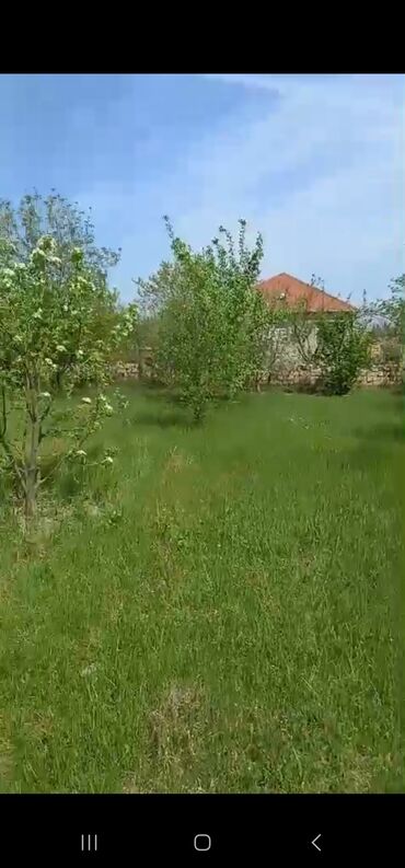 Torpaq sahələrinin satışı: 8 sot, Kənd təsərrüfatı, Mülkiyyətçi, Bələdiyyə -da lalafo.az — 10 Torpaq sahələrinin satışı: 8 sot, Kənd təsərrüfatı, Mülkiyyətçi, Bələdiyyə — 10