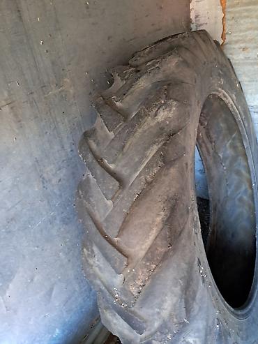 Təkərlər: T-28 ARXA TƏKƏRİ 13/36 - Növ: Traktor/aqrotexnika üçün arxa şinlər - — 5