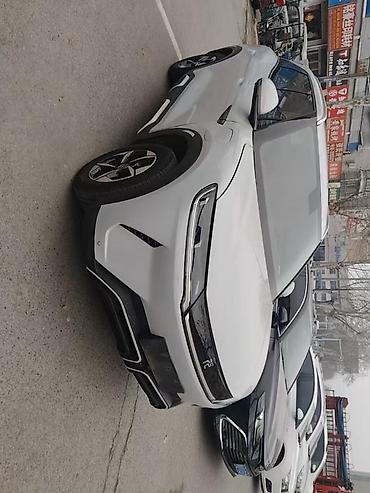 BYD: BYD E2: 2024 г., Автомат, Электромобиль, Кроссовер — 11