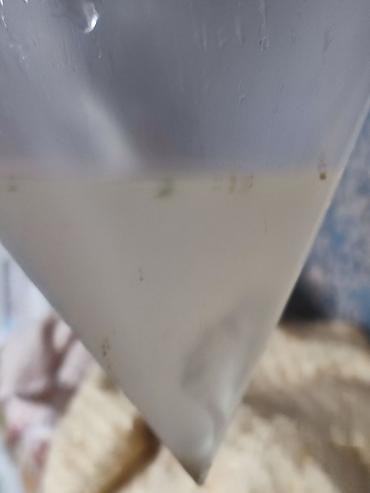 Бани, сауны, SPA: SPA-салон | Массаж — 6