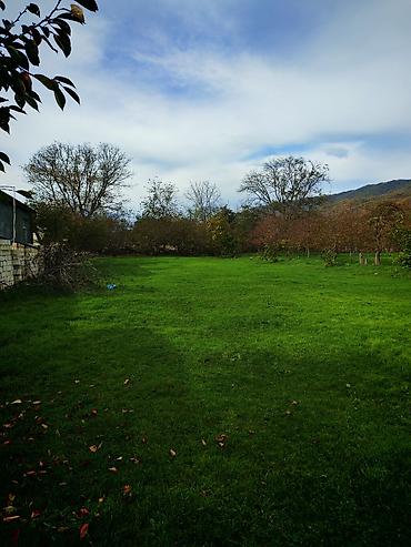 Torpaq sahələrinin satışı: Kənd təsərrüfatı — 5