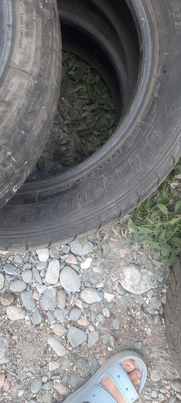 кольца на диски: Шиналар 205 / 55 / R 16, Жай, Жеңил унаалар, Dunlop