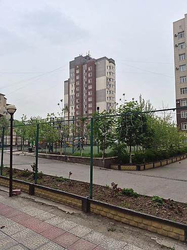 Долгосрочная аренда квартир: 2 комнаты, Собственник, Без подселения, С мебелью полностью — 14