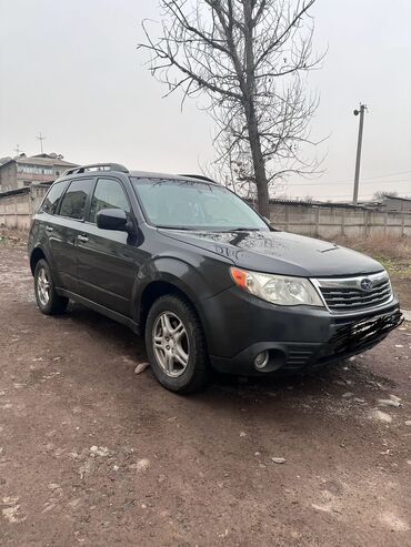 Subaru: Subaru Forester: 2009 г., 2.5 л, Автомат, Бензин, Универсал