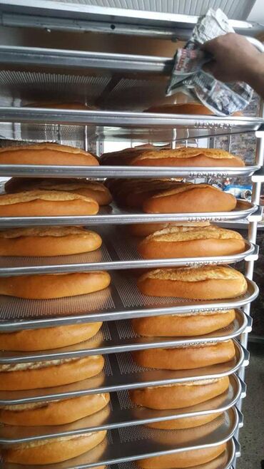 Печи, плиты: Ротационные печи для профессиональной выпечки Продаются ротационные at lalafo.kg — 6 Печи, плиты: Ротационные печи для профессиональной выпечки Продаются ротационные — 6