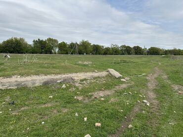 Продажа участков: 25 соток, Для бизнеса, Договор купли-продажи, Красная книга — 4