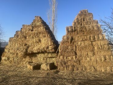 Корма для с/х животных: Чоп аралаш сатылат Кемин району Жаны-Алыш айылы. 200 со Дон