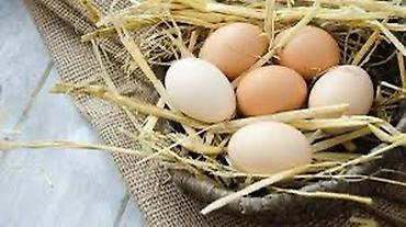 Təbii toyuq yumurtası - Rəngi: açıq krem və ağ - Ölçü: orta-böyük lalafo.az -da Təbii toyuq yumurtası - Rəngi: açıq krem və ağ - Ölçü: orta-böyük
