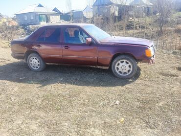 Mercedes-Benz: Mercedes-Benz W124: 1989 г., 2.3 л, Механика, Газ, Фургон