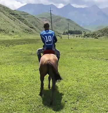 Лошади, кони: Продаю | Конь (самец) | Полукровка | Конный спорт — 1