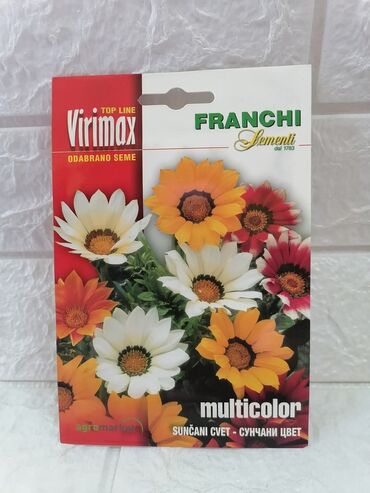 Semena i sadnice: Cena 500din/kesica — 11