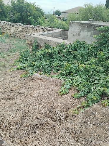 bilgəh: 7 sot, Tikinti, Makler, Kupça (Çıxarış) — 5