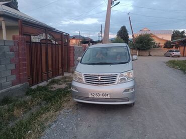 газон искуственный: Toyota Alphard: 2004 г., Бензин