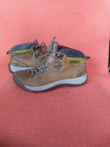 Gležnjače: Gležnjače, 38.5 na lalafo.rs — 6 Gležnjače: Gležnjače, 38.5 — 6