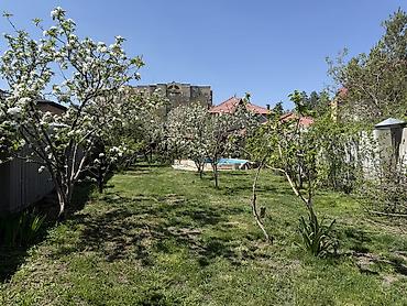 Үйлөр: 6 бөлмө жана андан көп, 200 м², 10 соток, Бишкек, Риелтор — 7