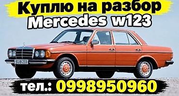 Mercedes-Benz W123: 1981 г.