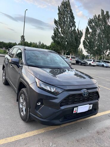 runx alex: Toyota RAV4: 2023 г., 2.5 л, Вариатор, Гибрид, Кроссовер