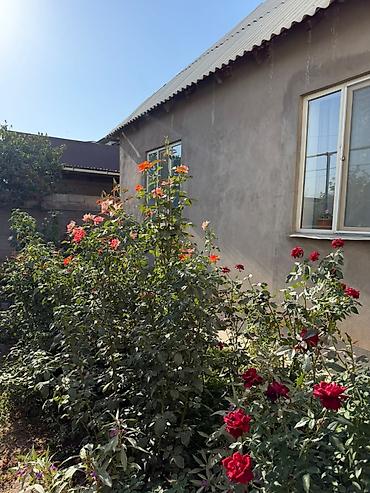 🏡 ПРОДАЁТСЯ ДОМ В АК ОРДО-1 ✨ Уютный дом со свежим, новым ремонтом — at lalafo.kg 🏡 ПРОДАЁТСЯ ДОМ В АК ОРДО-1 ✨ Уютный дом со свежим, новым ремонтом —