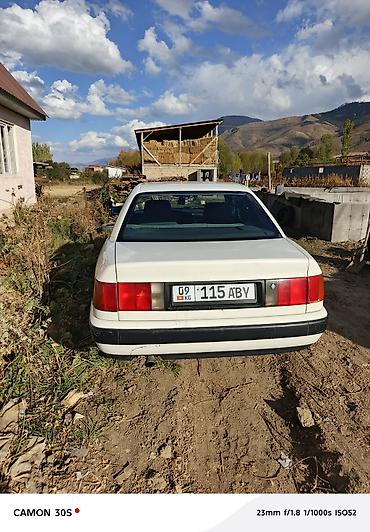 faw oley: Audi 100: 1992 г., 2 л, Механика, Бензин, Седан — 4