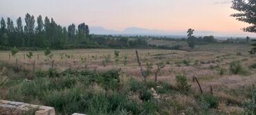 Anbar və emalatxanalar: Ünvan: Qusar şəhəri Ləyər kəndi (ləzgi ləyər) 1hk 68 sot bağ yeri — 22