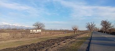 Torpaq sahələrinin satışı: Kənd təsərrüfatı — 8