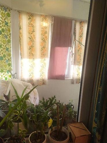 Продажа квартир: 2 комнаты, 60 м², Индивидуалка, 5 этаж, Косметический ремонт at lalafo.kg — 6 Продажа квартир: 2 комнаты, 60 м², Индивидуалка, 5 этаж, Косметический ремонт — 6