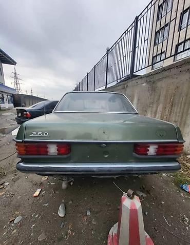 Mercedes-Benz: Mercedes-Benz W123: 1979 г. — 2