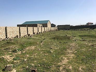 qala ev: 21 sot, Tikinti, Kupça (Çıxarış) — 3