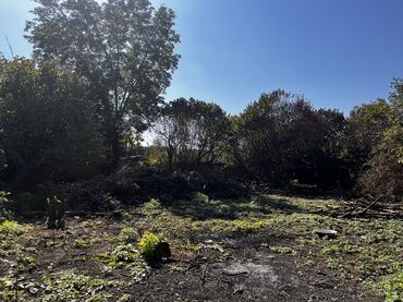 загородные дома продажа: Kənd təsərrüfatı