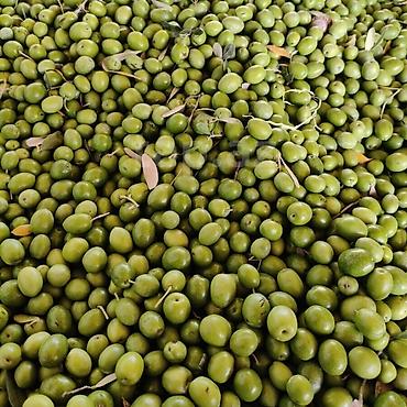 melixor nədir: 1kg - 2.5 azn Sifarişle yığılır neçe kilo lazımdırsa deyirsiz — 2