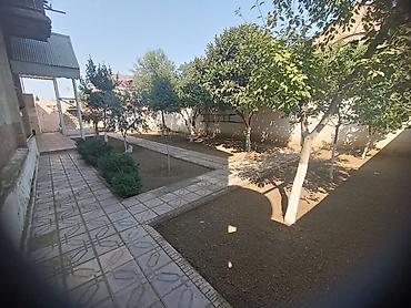 cilə dağı: 4 otaqlı, 100 kv. m, Kredit yoxdur, Orta təmir — 4