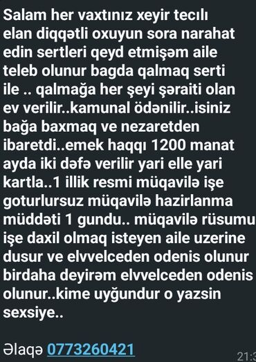 Mühafizə, təhlükəsizlik: Mühafizə, təhlükəsizlik