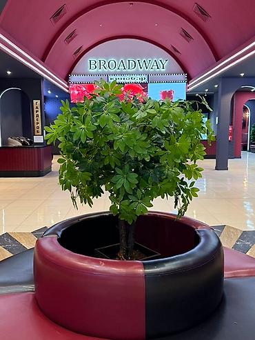 Декоративные цветы: 🌿 Мы — Mayram Decor KG, ваш надежный партнёр в создании эффектных и — 8