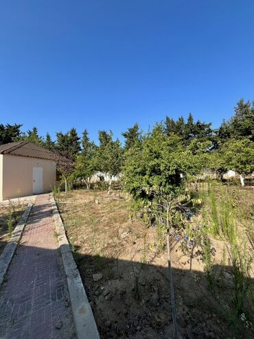 купить дом в баку гарачухур: 26 sot, Tikinti, Mülkiyyətçi, Kupça (Çıxarış)