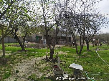 Продажа домов: 5 комнат, 140 м², Нет кредита, Средний ремонт — 3