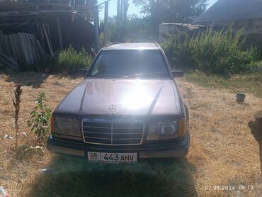 Mercedes-Benz: Mercedes-Benz 220: 1994 г., 2.2 л, Автомат, Газ, Универсал