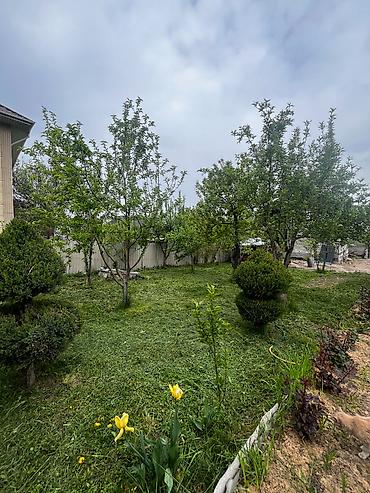 Продажа коттеджей и домов: Продается дом в селе Джал 150метров до главной трассы Участок 6 — 9