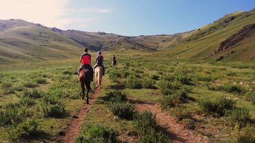 Туристические услуги: Конная прогулка на иссык-куле 🐎 0️⃣5️⃣0️⃣2️⃣3️⃣2️⃣9️⃣4️⃣7️⃣1️⃣☎️ + at lalafo.kg — 10 Туристические услуги: Конная прогулка на иссык-куле 🐎 0️⃣5️⃣0️⃣2️⃣3️⃣2️⃣9️⃣4️⃣7️⃣1️⃣☎️ + — 10