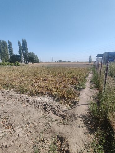 Продажа участков: 33 соток, Для бизнеса, Красная книга — 9