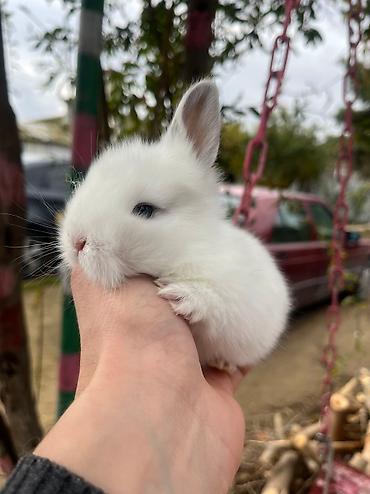 berde mal bazari: Salam🖐🏻. 🎁 ad günlerinde bayram ve xüsusi günlerde hediyye seçiminde — 7
